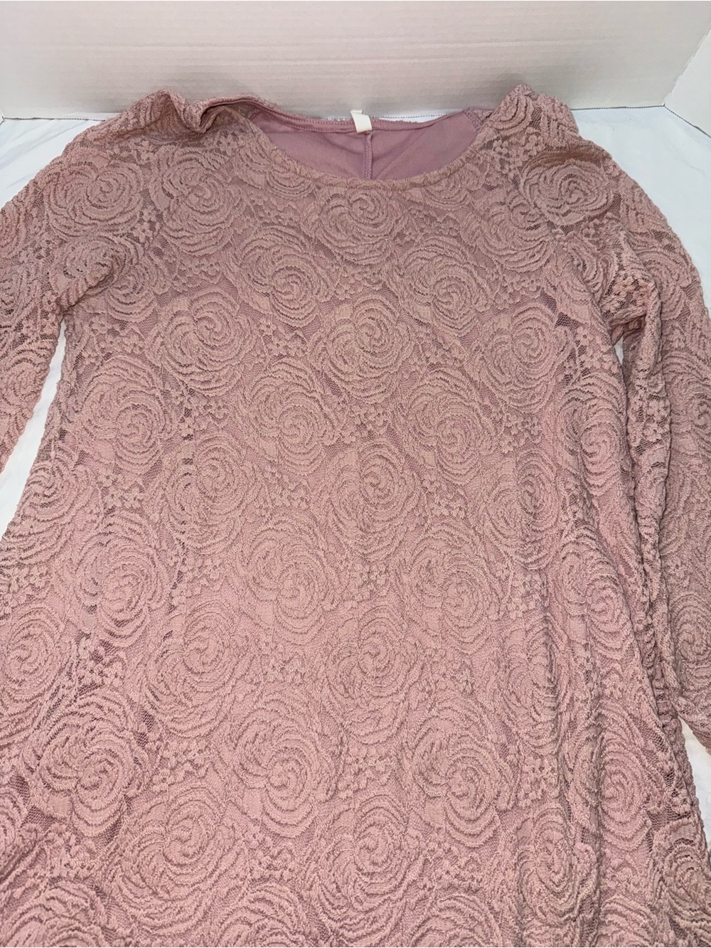 Pinkblush Dusty Rose Lace Long-Sleeve Dress